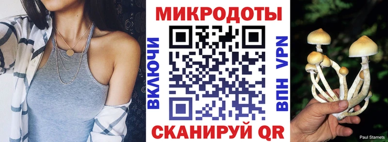 закладка  Ковдор  Псилоцибиновые грибы Cubensis 